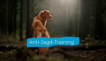 Anti-Jagd-Training