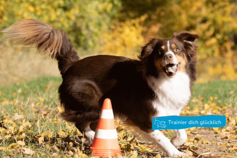 Individualtraining